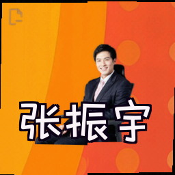 张振宇